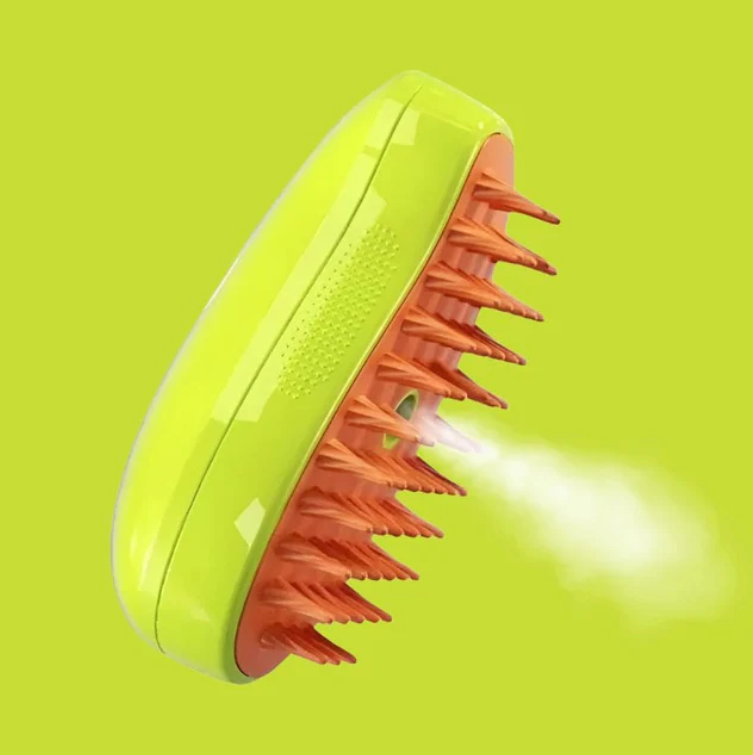 Brosse à Vapeur