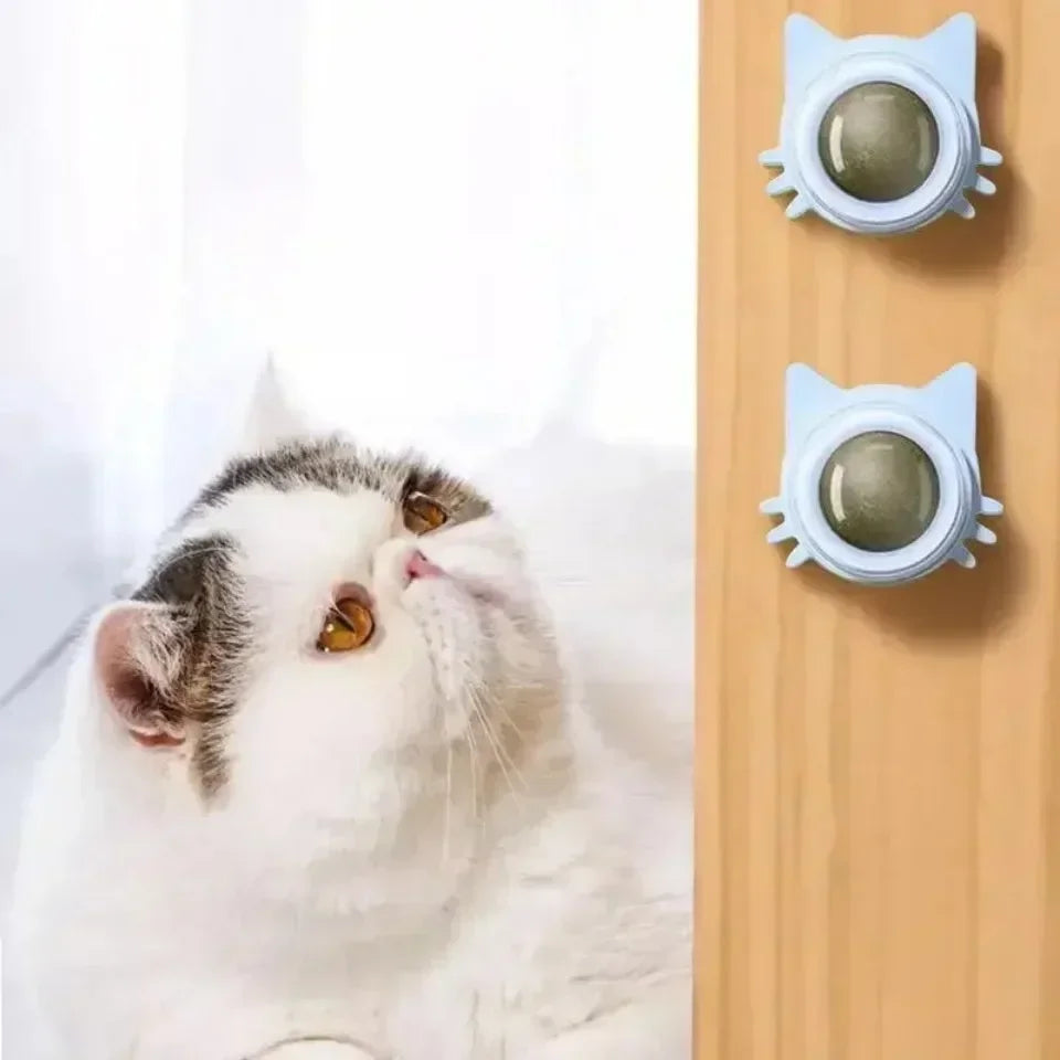 Wall Mounted Catnip Ball