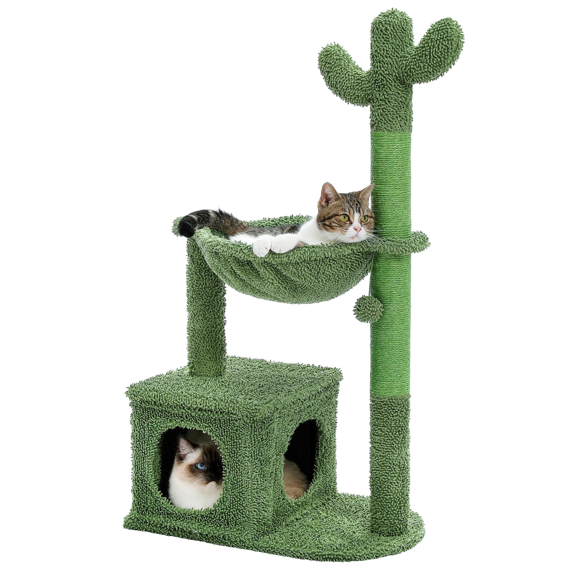 arbre a chat cactus hamac